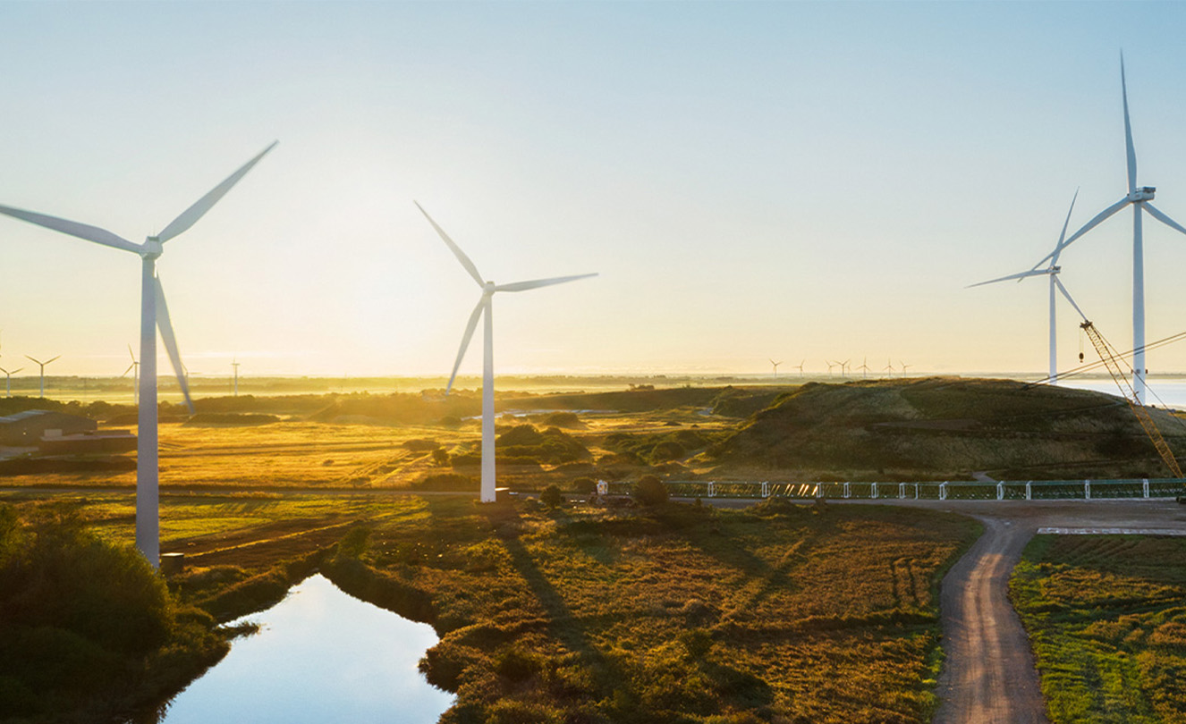 Um terreno com turbinas eólicas produtoras de energia.