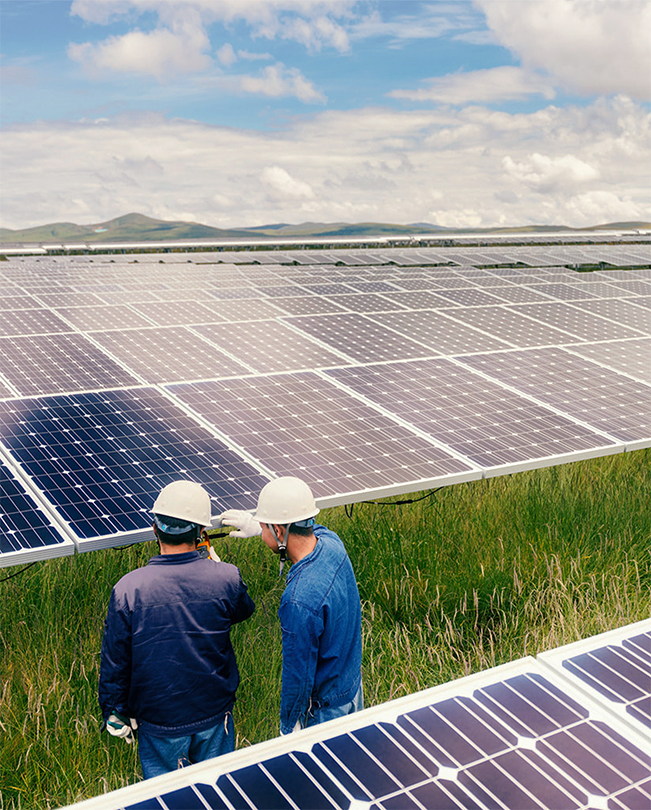 Dos personas con casco trabajando en unos enormes paneles fotovoltaicos rodeados de hierba.