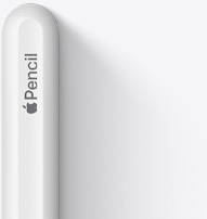 2. nesil Apple Pencil’ın üst kısmı, yuvarlak ucu, Apple logosu ve Pencil kelimesi görünüyor.