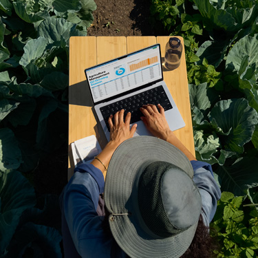 Birds-eye view of a woman in a wide-brim hat working on a business presentation on a MacBook, sitting at a table in a garden.
