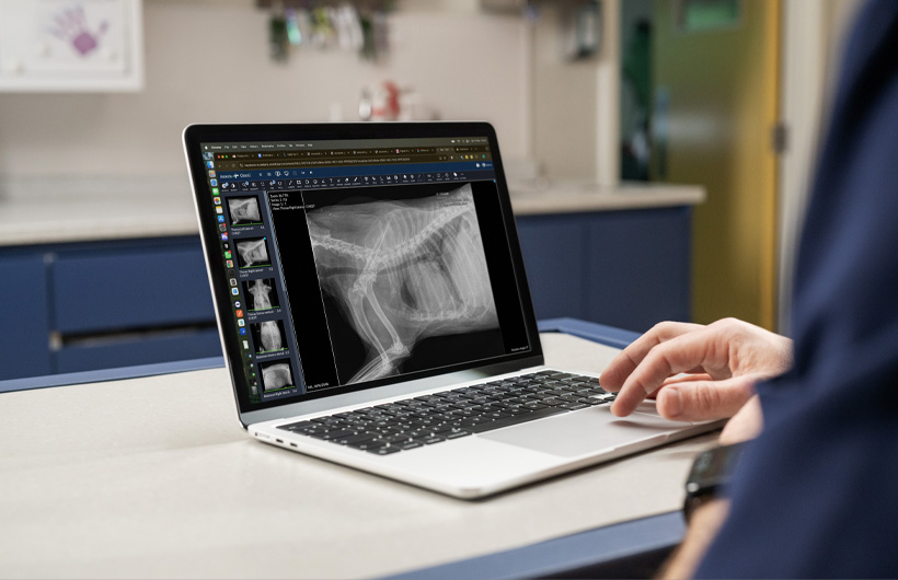 Detaljerede røntgen- og ultralydsscanninger vises live på MacBook Air.