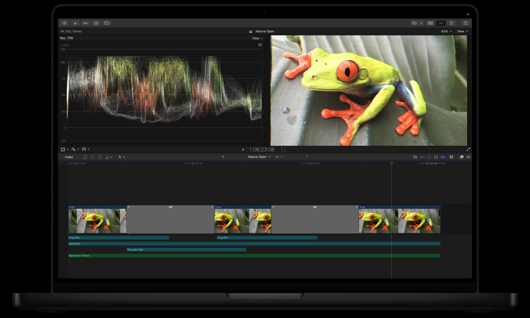 MacBook Pro 16, Final Cut Pro workspace, Image of brightly coloured green frog on leaf
