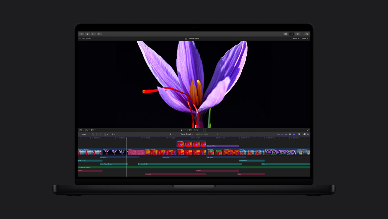 HDR on a MacBook Pro 16, Close-up of purple flower with red stamens