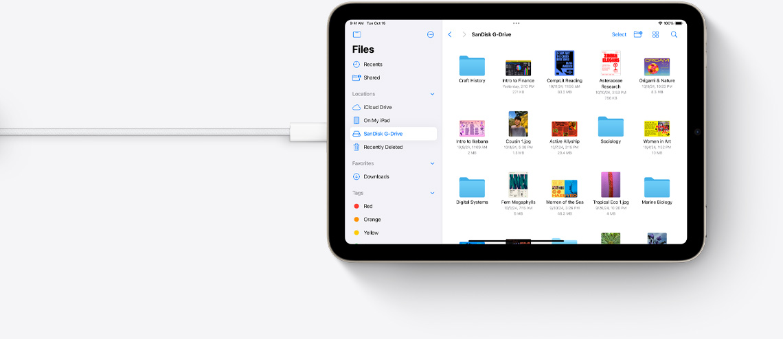 Filer på iPad mini i liggande läge med en ansluten usb-c-kabel.