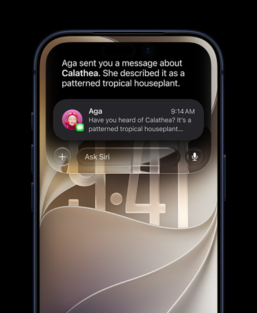 iPhone 17 Pro, Deep Blue, front screen, displaying a Siri AI query about the houseplant mentioned in a Messages conversation